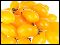 Среднеспелый, отлично хранится, плоды желтые, вытянутые, ок. 100 гр. Устойчив к болезням, индет.